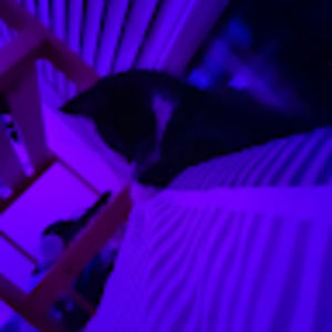 Meet your Posher, Katie